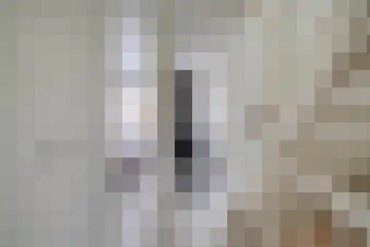Bovenas 10 Moerkapelle thumbnail 17