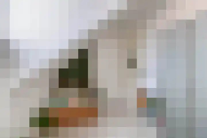 Bovenas 10 Moerkapelle thumbnail 33