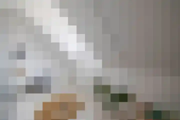 Bovenas 10 Moerkapelle thumbnail 34