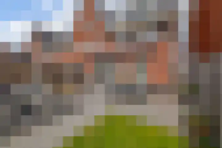 Bovenas 10 Moerkapelle thumbnail 36