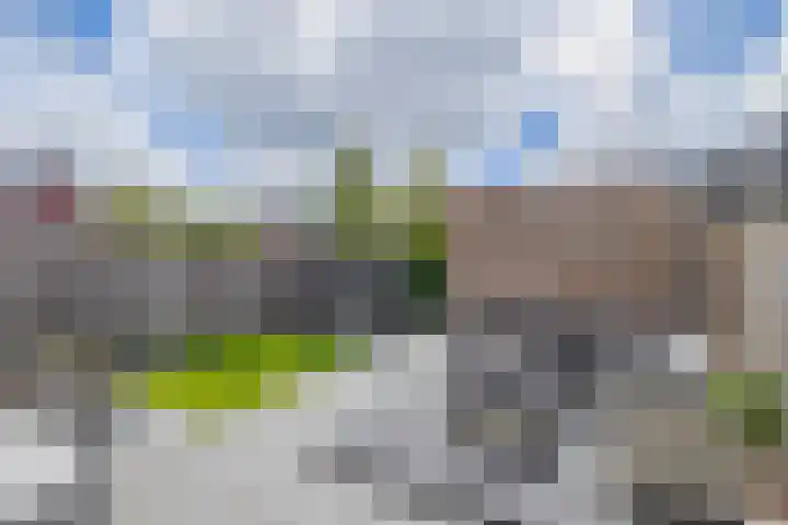 Bovenas 10 Moerkapelle thumbnail 38