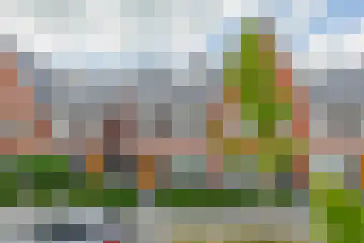 Bovenas 10 Moerkapelle thumbnail 39
