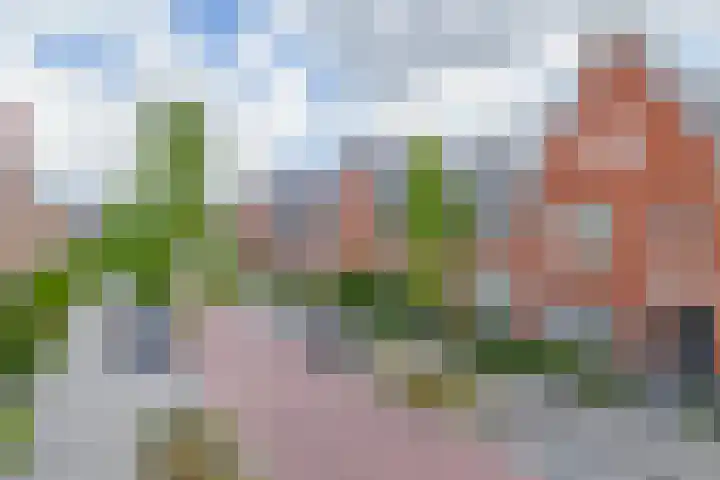 Bovenas 10 Moerkapelle thumbnail 40