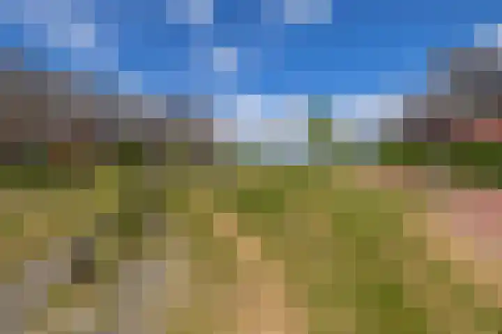 Bovenas 10 Moerkapelle thumbnail 42