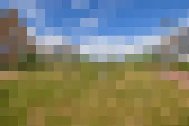 Bovenas 10 Moerkapelle thumbnail 43