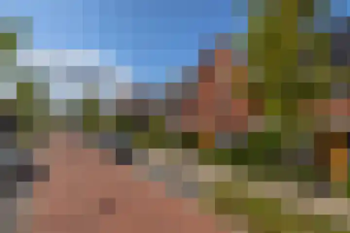 Bovenas 21 Moerkapelle thumbnail 31
