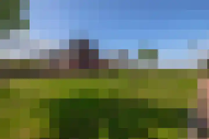 Bovenas 21 Moerkapelle thumbnail 32