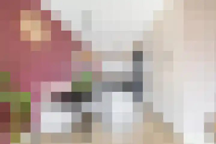 Bovenas 33 Moerkapelle thumbnail 10