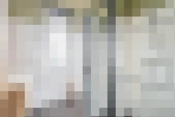 Bovenas 33 Moerkapelle thumbnail 18