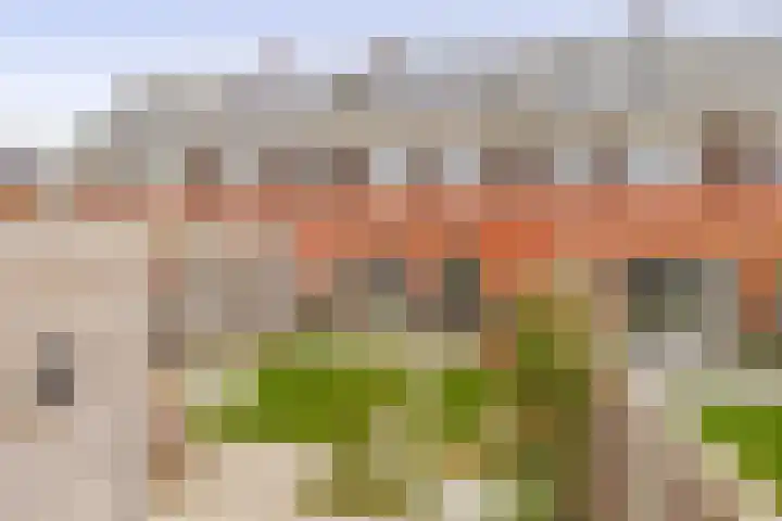 Bovenas 33 Moerkapelle thumbnail 22