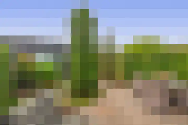 Bovenas 66 Moerkapelle thumbnail 18