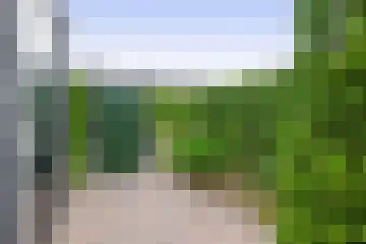 Bovenas 66 Moerkapelle thumbnail 22