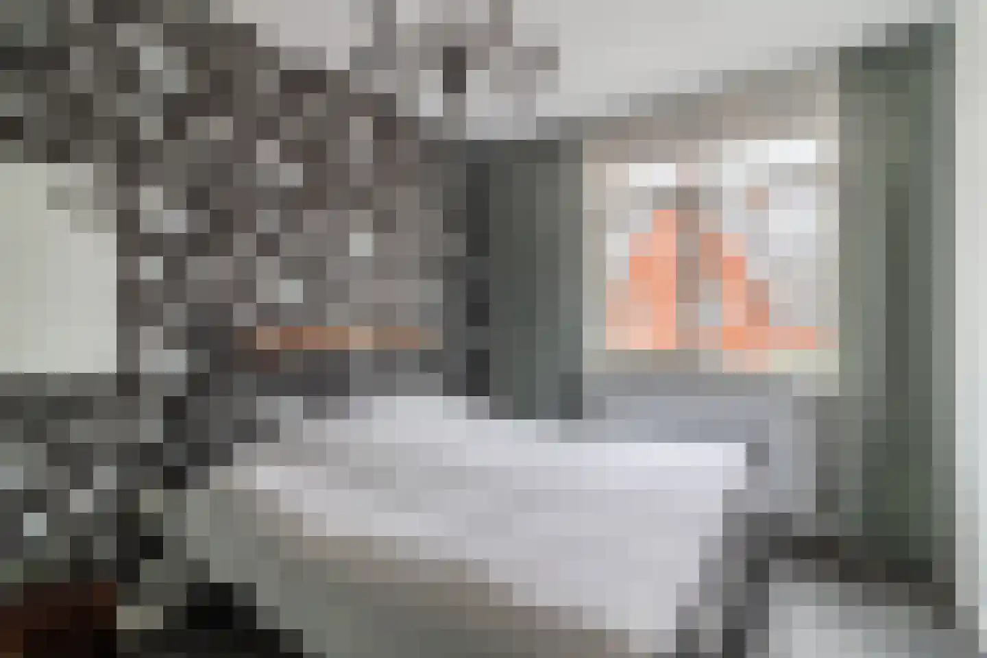 Bovenas 7 Moerkapelle thumbnail 17