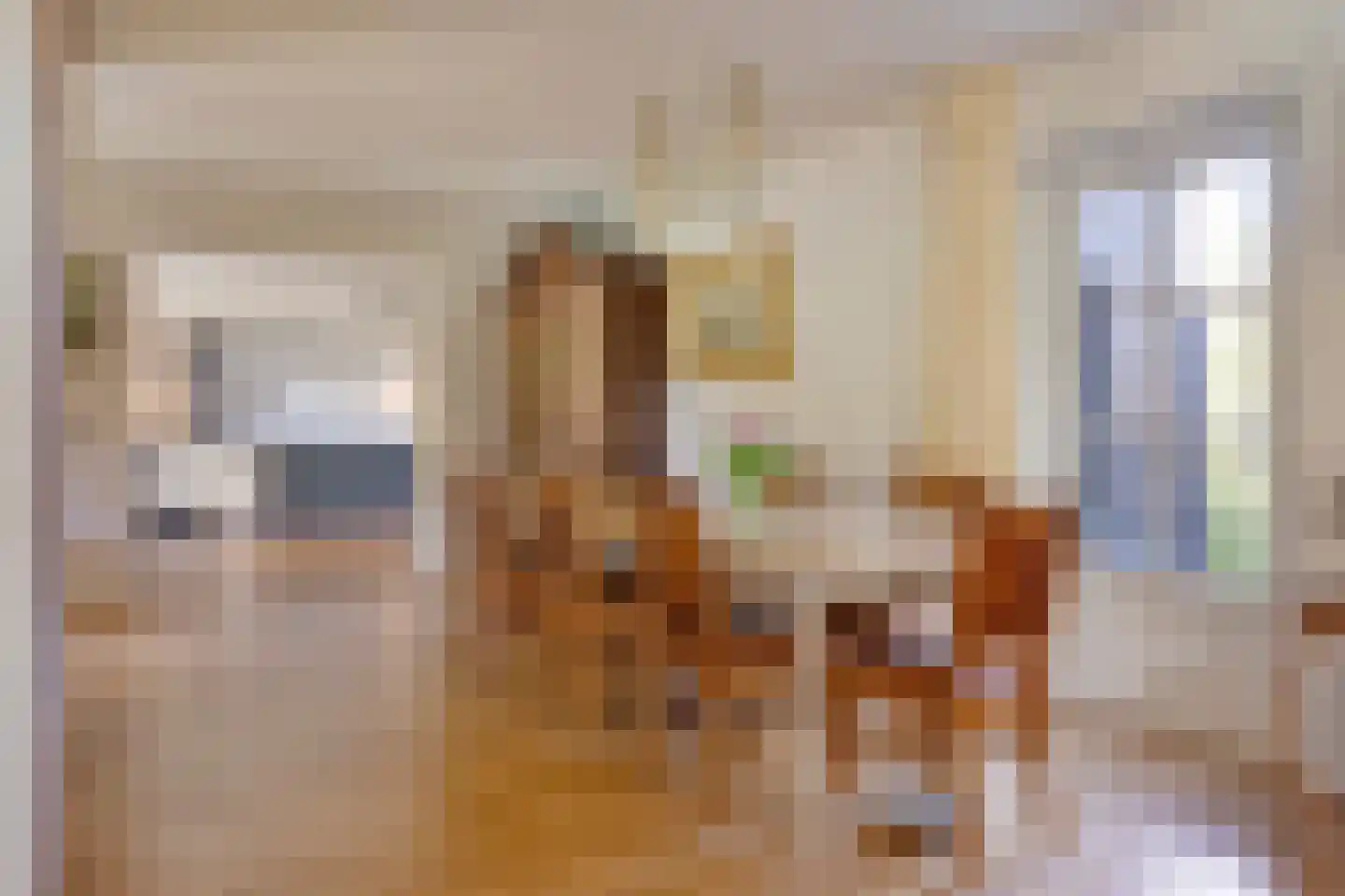 Bovenberg 122 a Bergambacht thumbnail 17