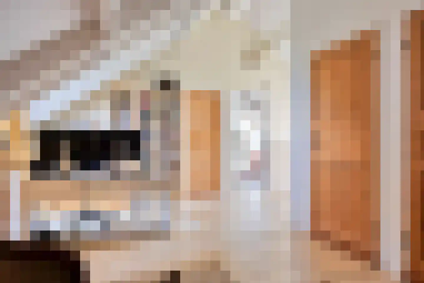 Bovenberg 122 a Bergambacht thumbnail 25