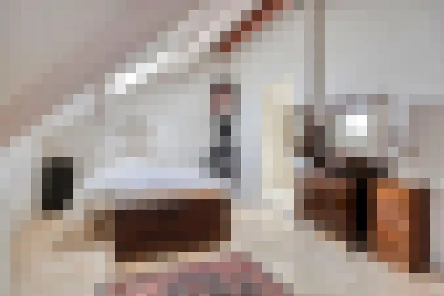 Bovenberg 122 a Bergambacht thumbnail 30