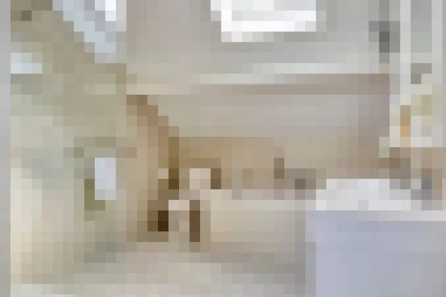 Bovenberg 122 a Bergambacht thumbnail 33