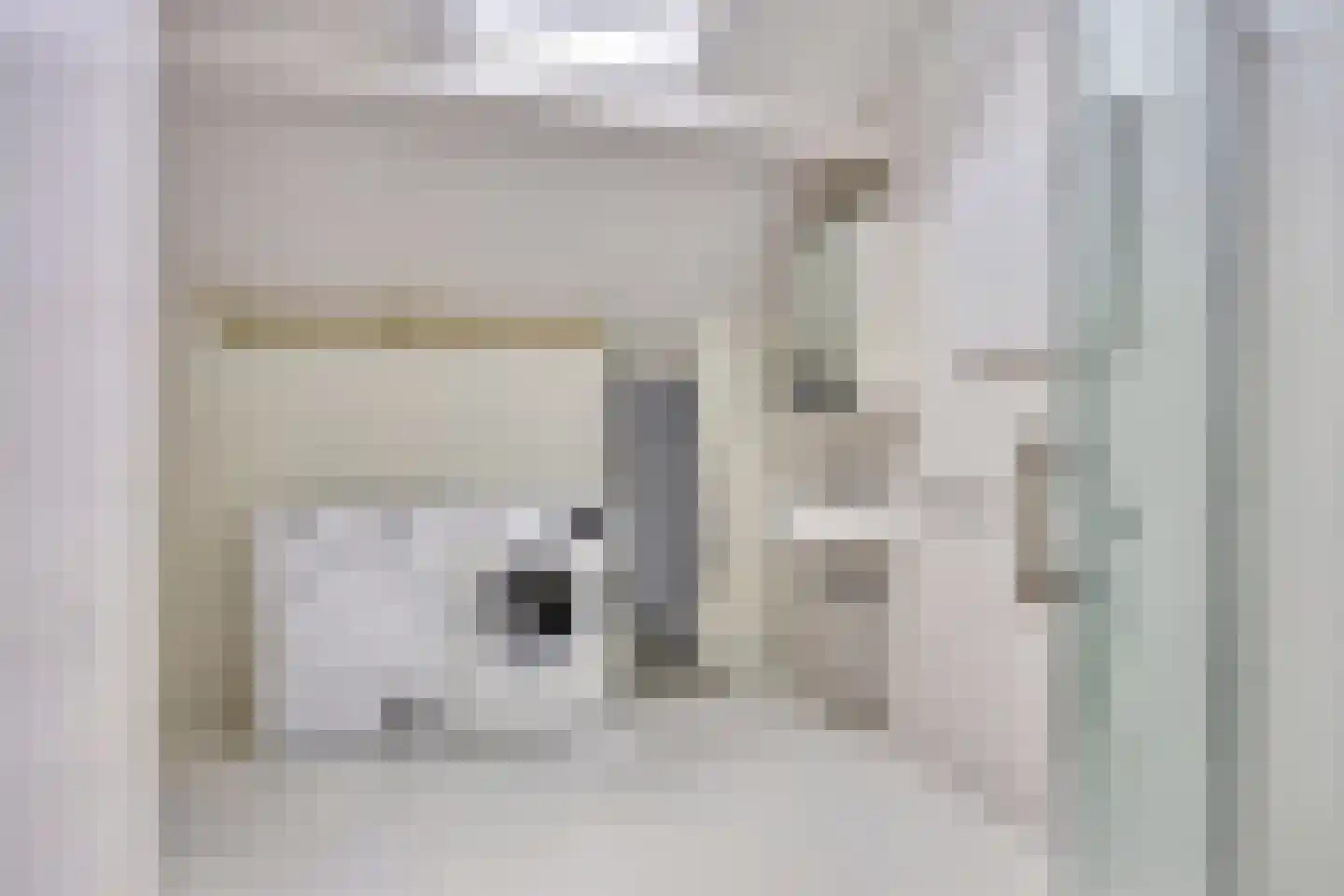 Bovenberg 122 a Bergambacht thumbnail 39