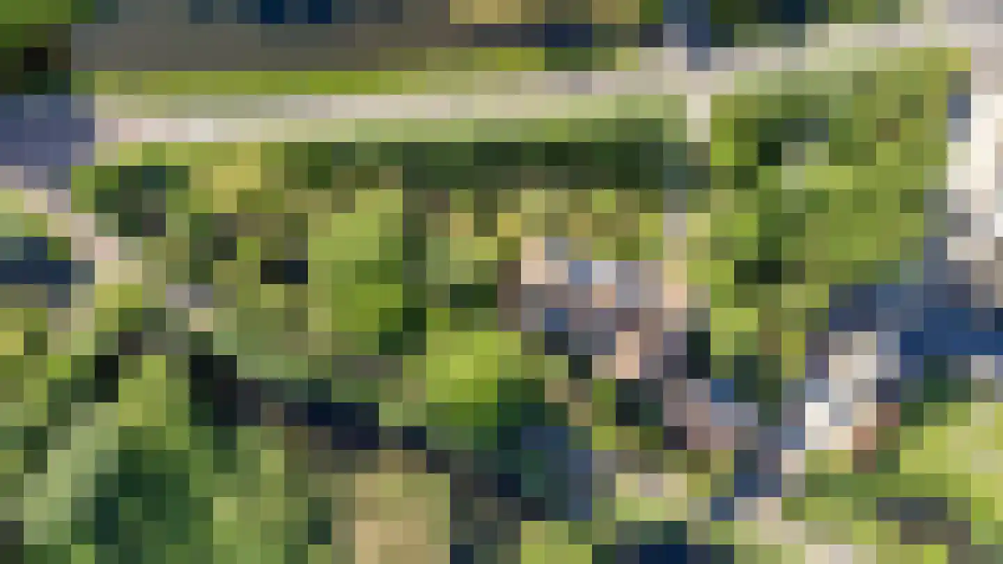 Bovenberg 122 a Bergambacht thumbnail 41