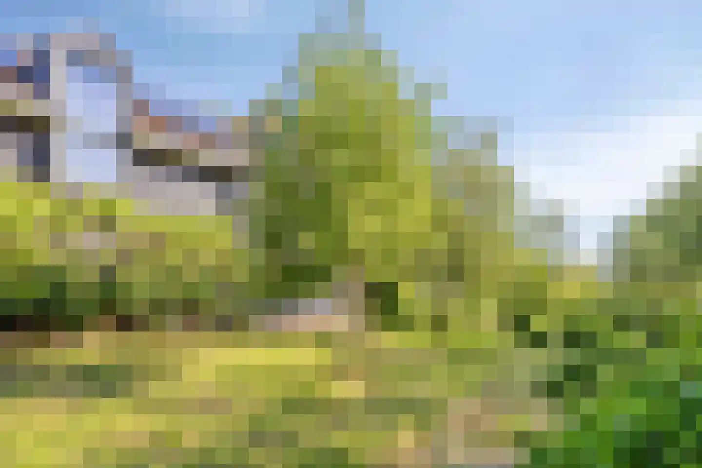 Bovenberg 122 a Bergambacht thumbnail 42