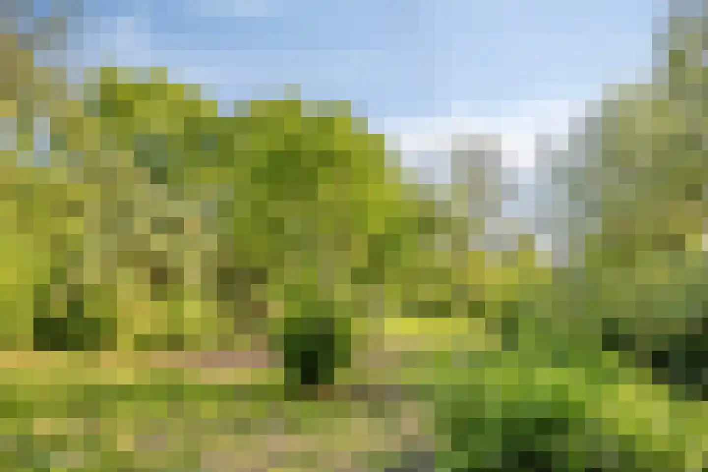 Bovenberg 122 a Bergambacht thumbnail 43