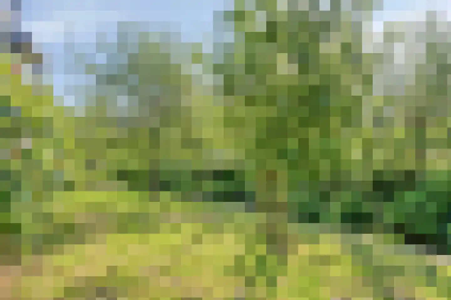 Bovenberg 122 a Bergambacht thumbnail 44
