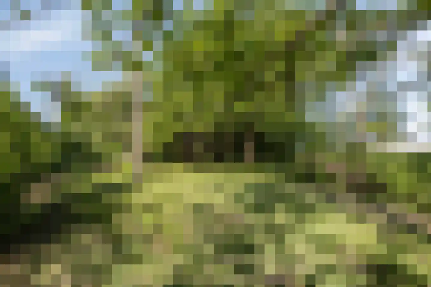Bovenberg 122 a Bergambacht thumbnail 45