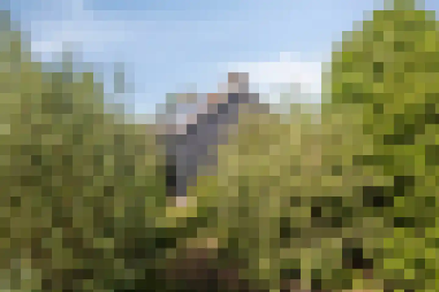 Bovenberg 122 a Bergambacht thumbnail 46