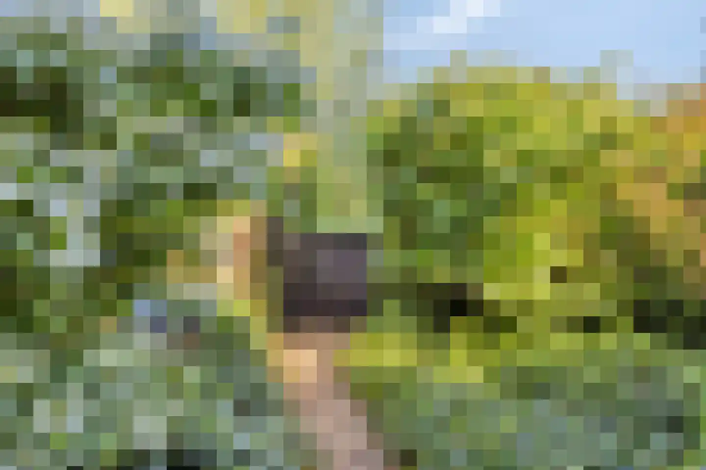 Bovenberg 122 a Bergambacht thumbnail 53