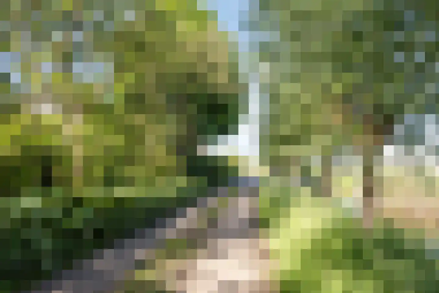 Bovenberg 122 a Bergambacht thumbnail 56