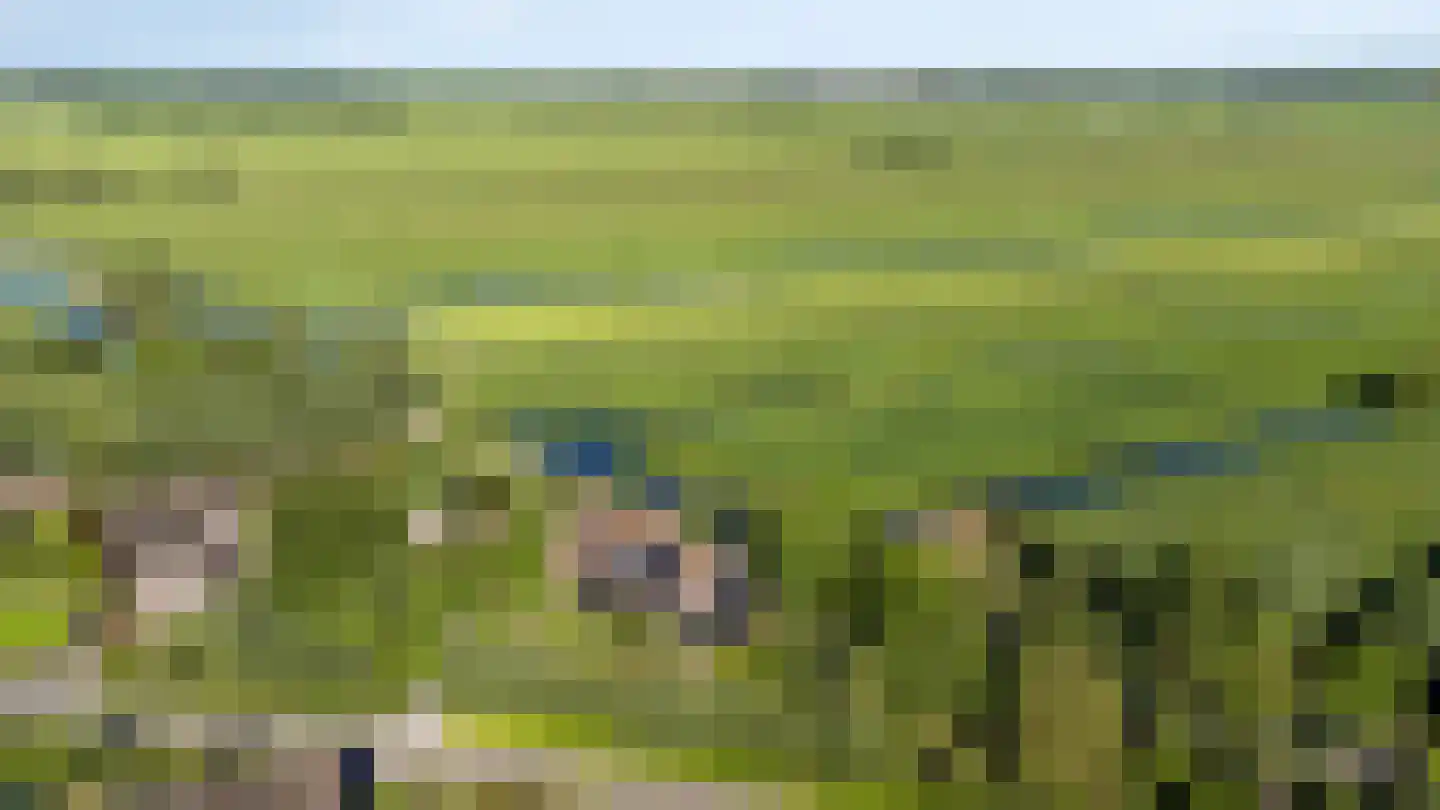 Bovenberg 122 a Bergambacht thumbnail 60