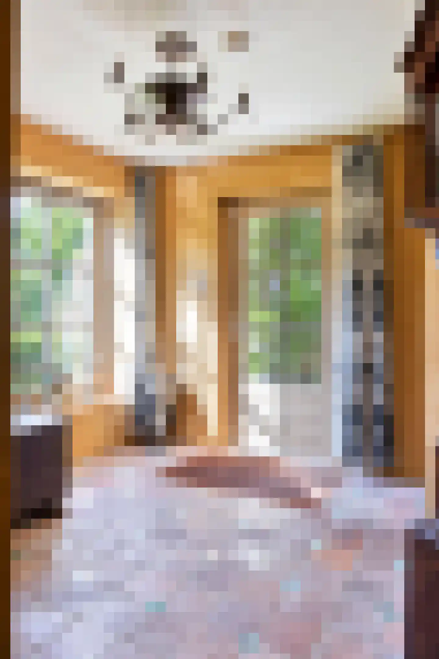 Bovenberg 122 a Bergambacht thumbnail 7