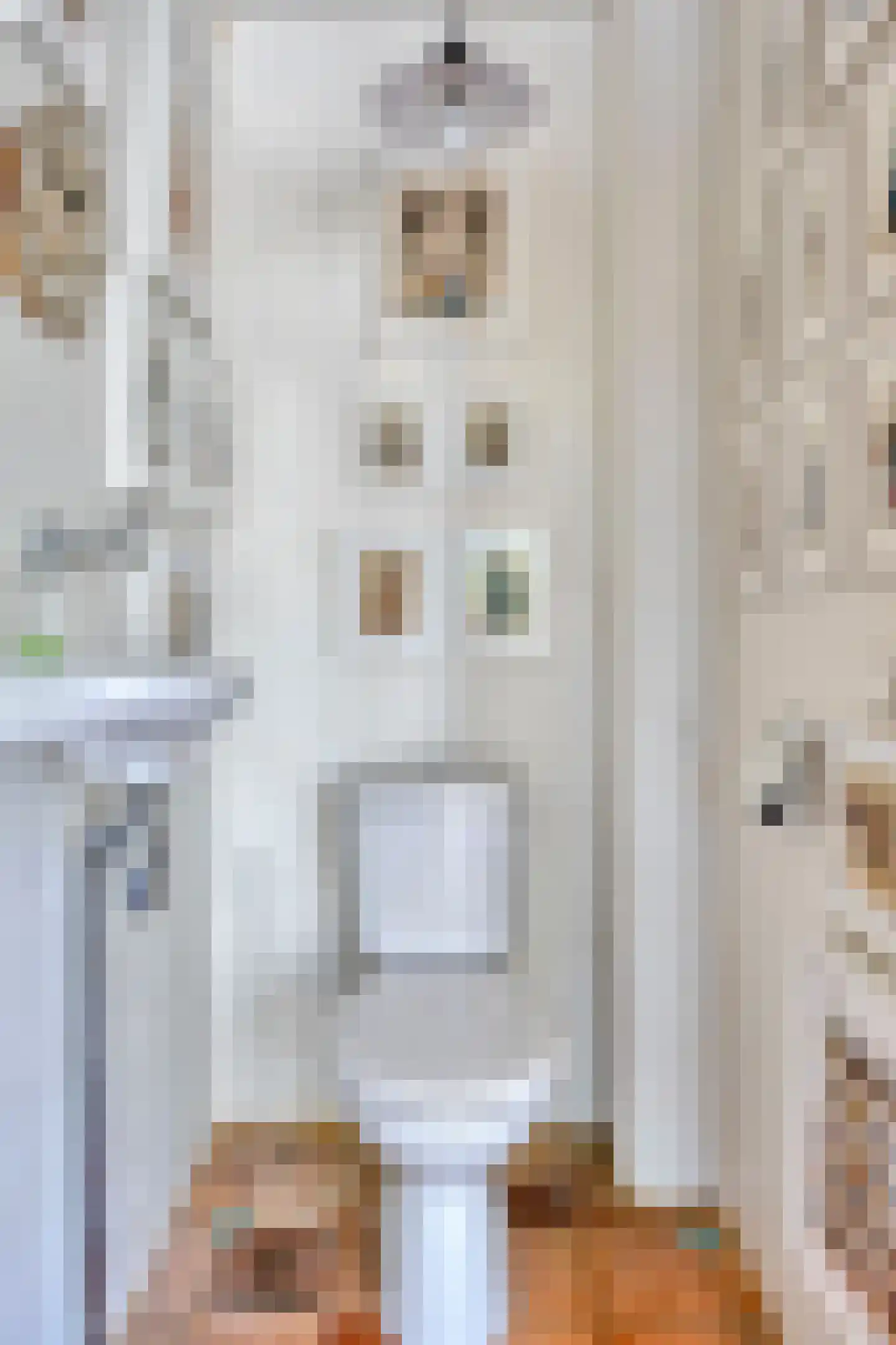Bovenberg 122 a Bergambacht thumbnail 9