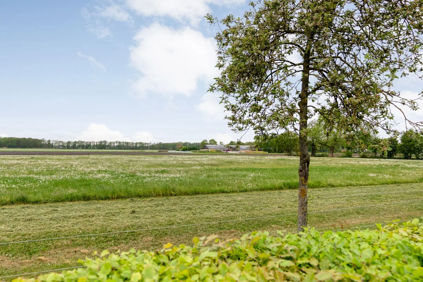 Bovenboer 18 Veeningen thumbnail 53