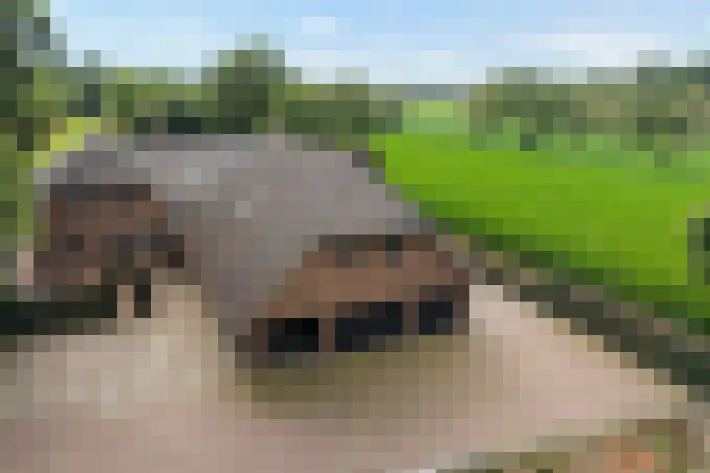 Bovenbroeksweg 23 Manderveen thumbnail 25
