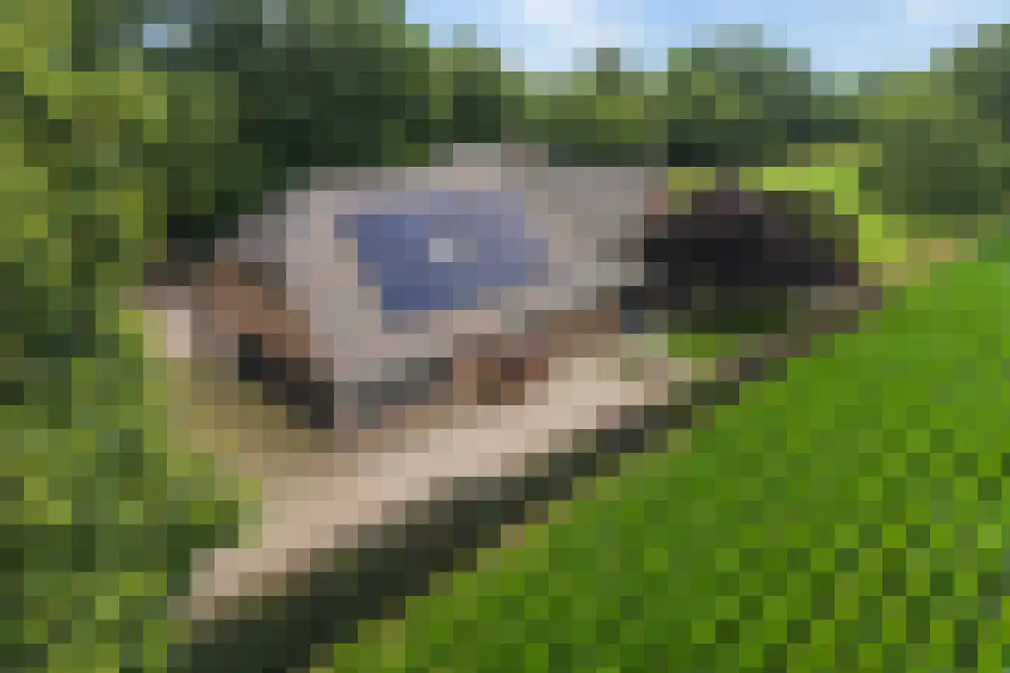Bovenbroeksweg 23 Manderveen thumbnail 26