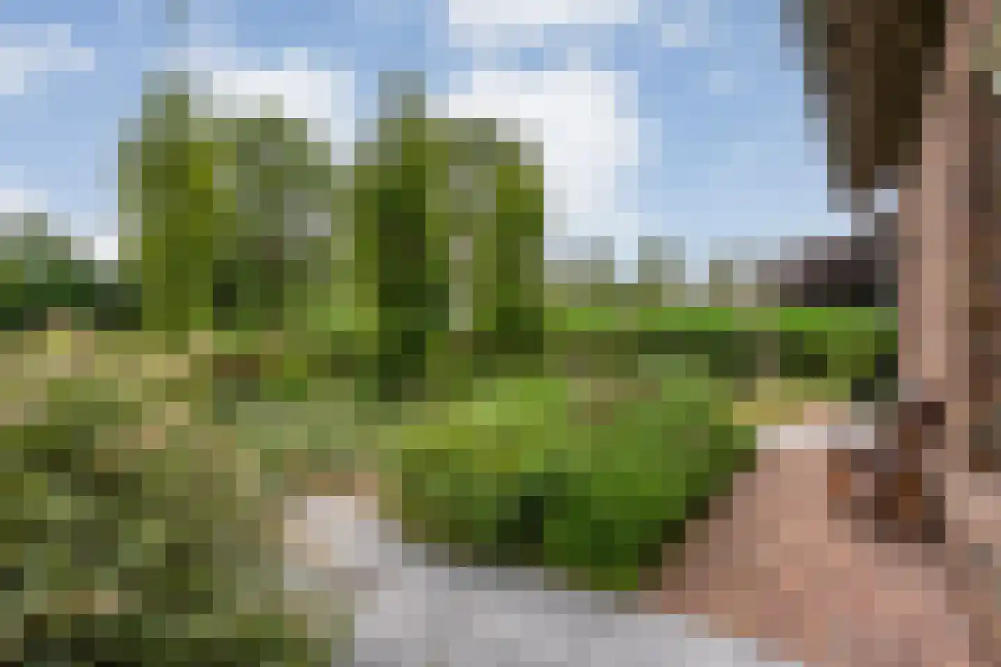 Bovenbroeksweg 23 Manderveen thumbnail 41