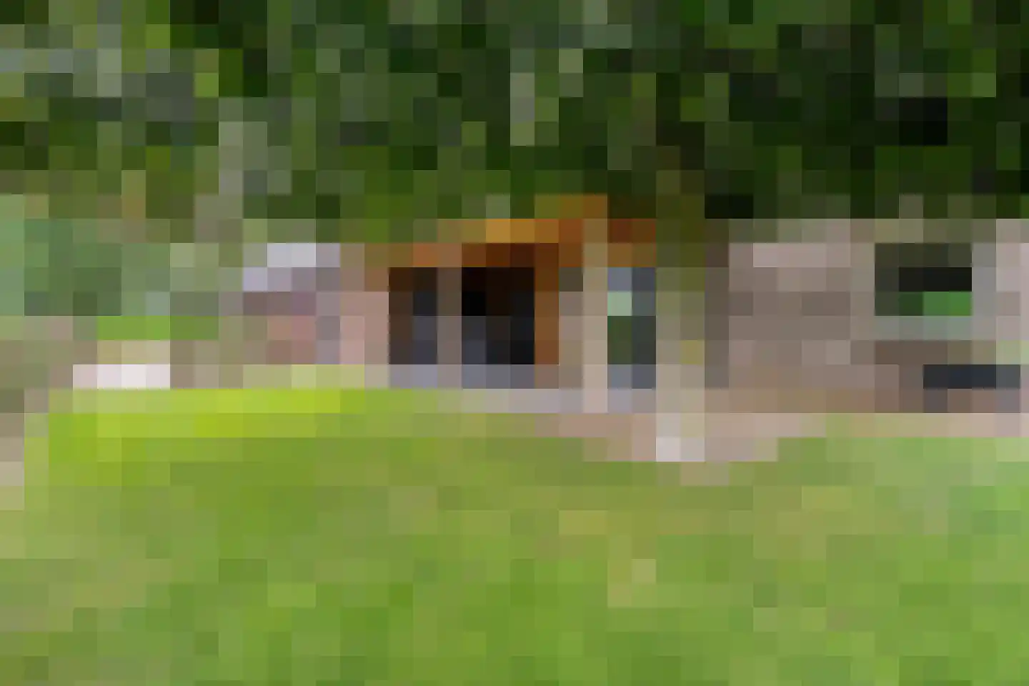 Bovenbroeksweg 23 Manderveen thumbnail 42