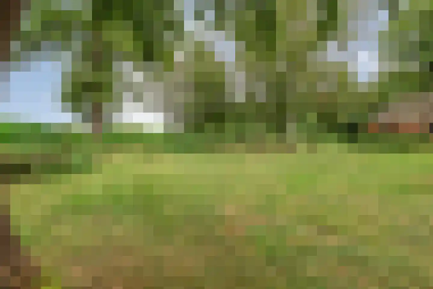 Bovenbroeksweg 23 Manderveen thumbnail 49