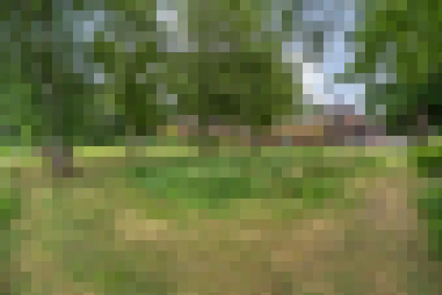 Bovenbroeksweg 23 Manderveen thumbnail 50