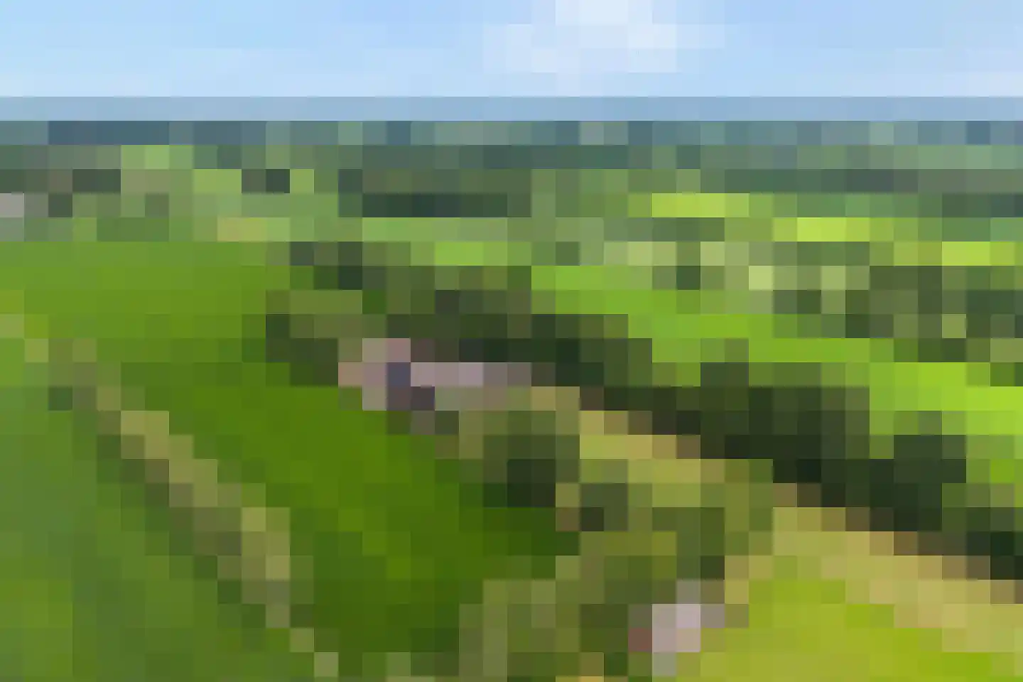 Bovenbroeksweg 23 Manderveen thumbnail 53