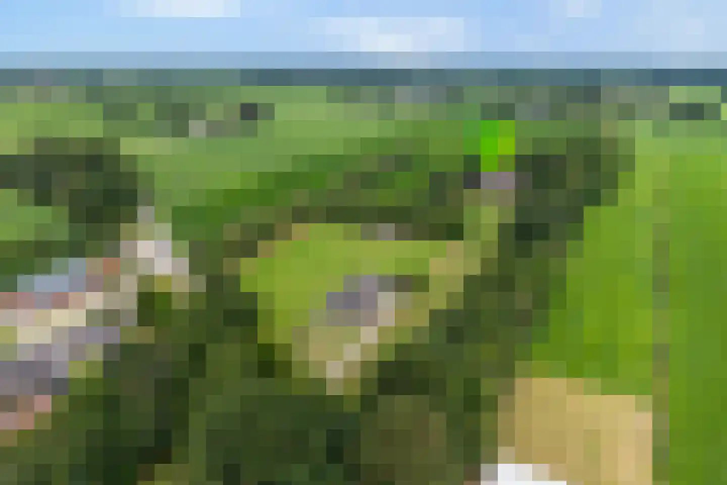 Bovenbroeksweg 23 Manderveen thumbnail 54