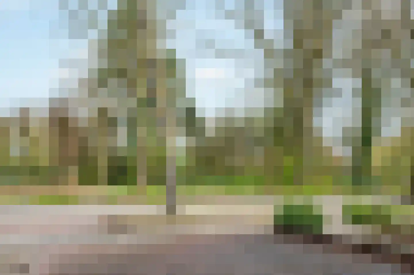 Bovenburen 113 Winschoten thumbnail 6