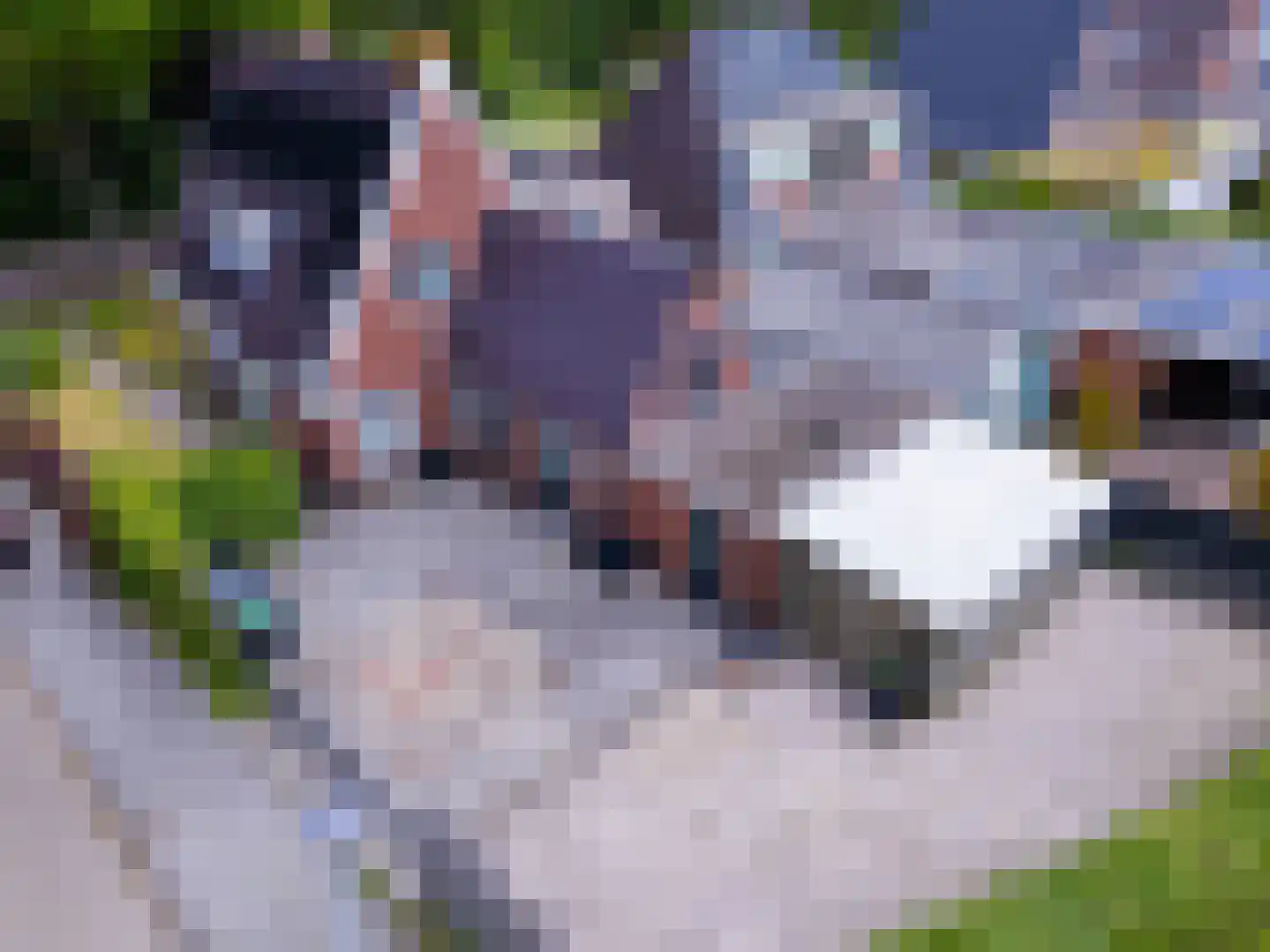 Bovenburen 13 Winschoten thumbnail 4