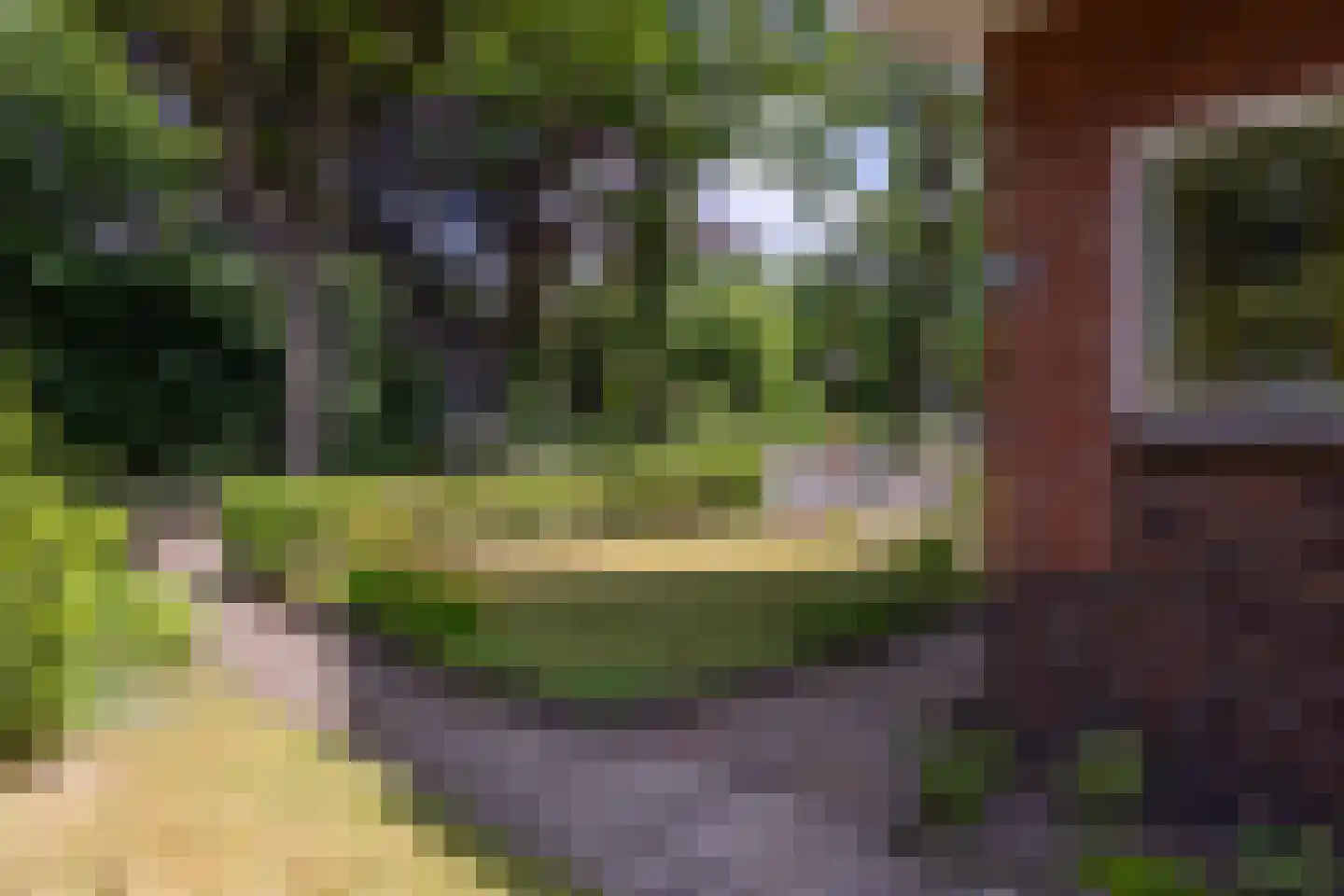 Bovenburen 13 Winschoten thumbnail 57