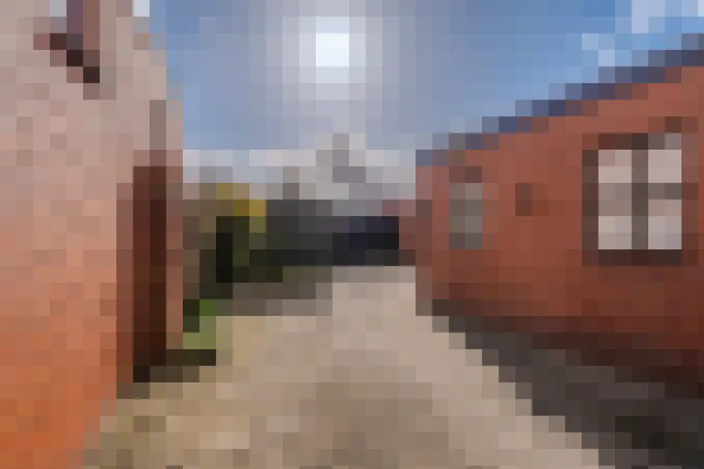 Bovenburen 175 Winschoten thumbnail 35