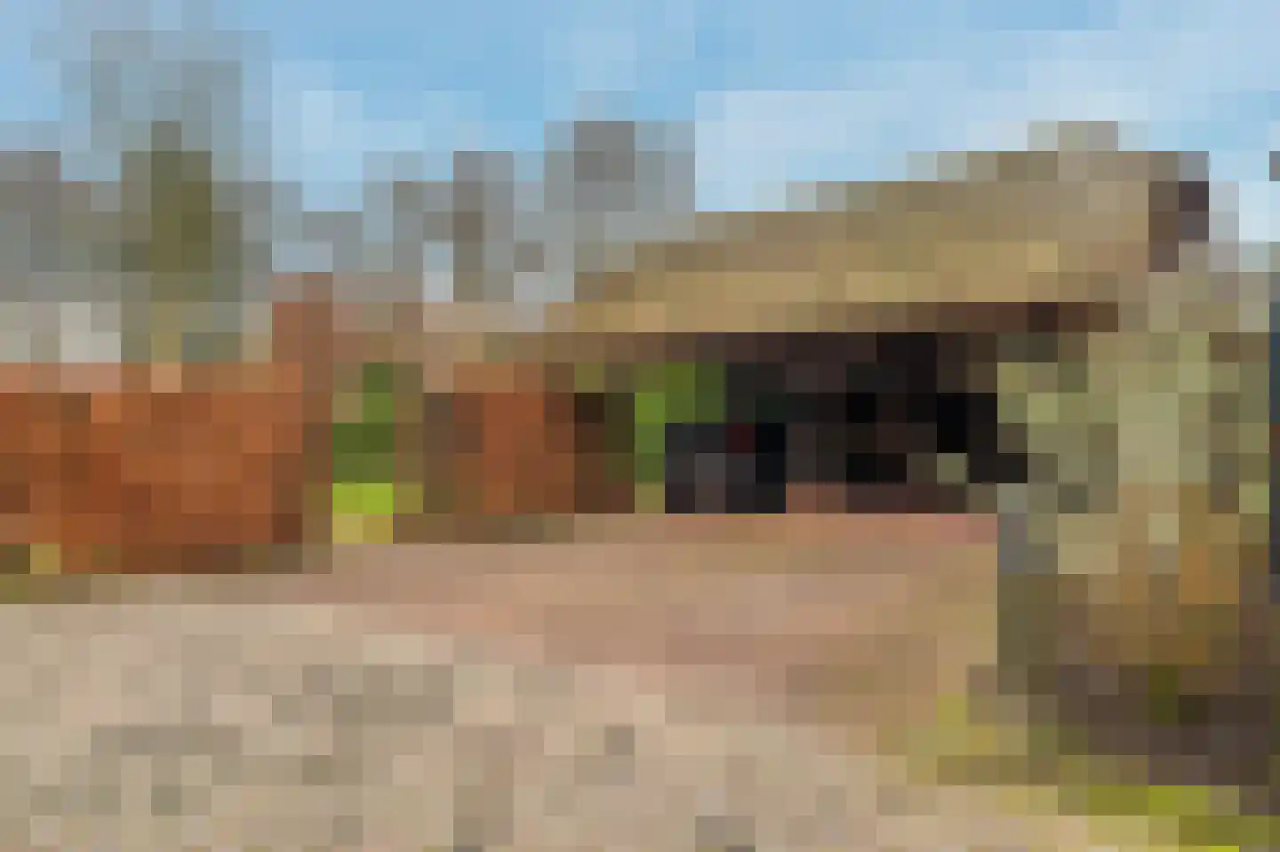 Bovenburen 219 Winschoten thumbnail 67