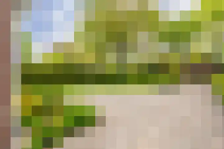 Bovenburen 22 Winschoten thumbnail 10