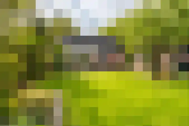 Bovenburen 22 Winschoten thumbnail 52