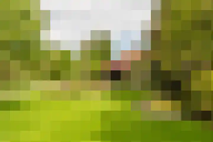 Bovenburen 22 Winschoten thumbnail 55